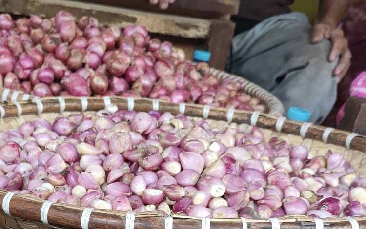Harga Bawang Merah mulai Turun Jadi Rp50.000 di Kobar