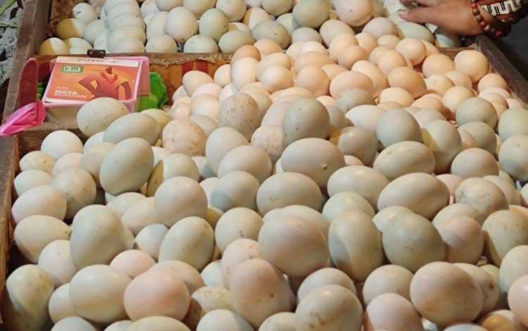 Dishanpang Kalteng Catat Fluktuasi Harga Pangan Selama Awal Januari 2023