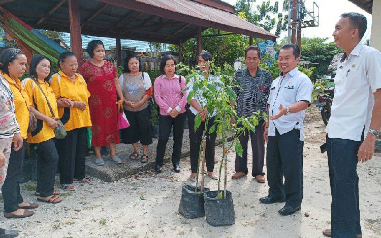 Pemkab Gunung Mas Serahkan Bantuan Tanaman Cabai Kepada Masyarakat