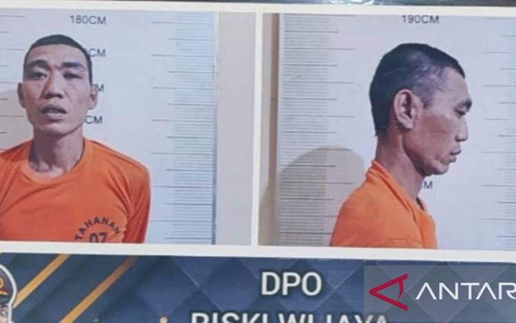 Buron Pemilik Kebun Ganja Ditangkap, Hukuman Mati Menanti
