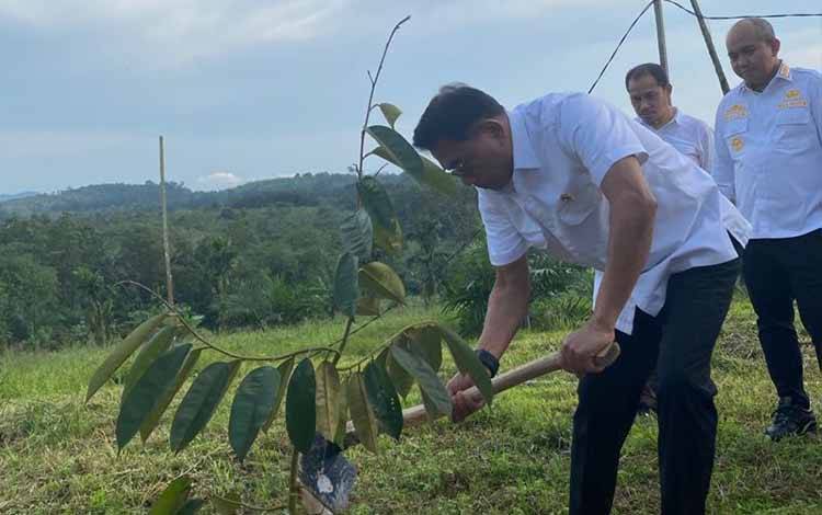 KSP: Durian Indonesia Bisa Jadi Komoditas Unggul di Pasar Dunia
