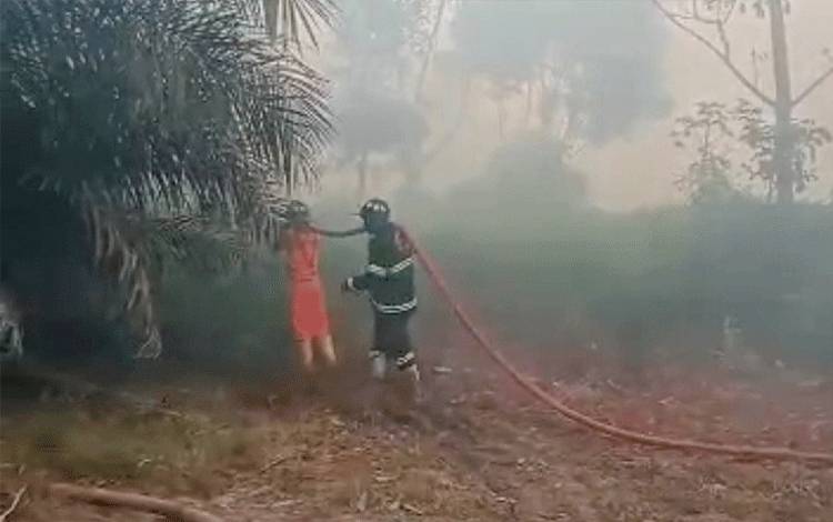 Kebakaran Lahan Terjadi di Desa Jihi