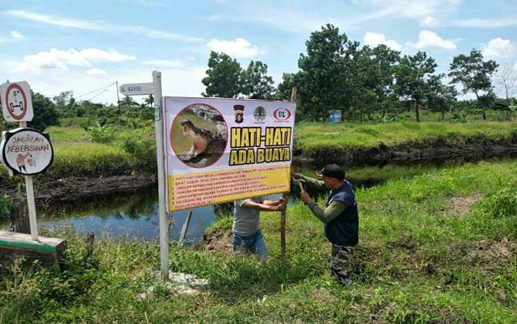 Buaya Makin Sering Muncul, BKSDA Kotim Pasang Plang Peringatan