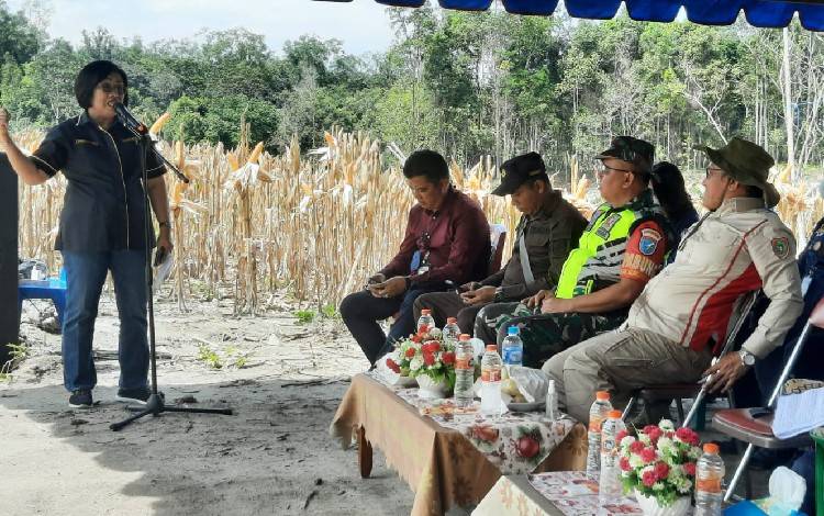 Petani di Gunung Mas Diminta Meningkatkan Pemanfaatan Lahan