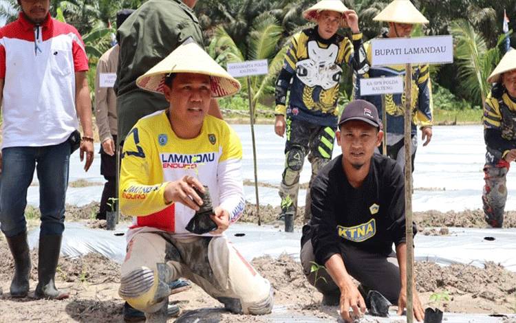 Manfaatkan Lahan Kosong Antisipasi Inflasi di Daerah
