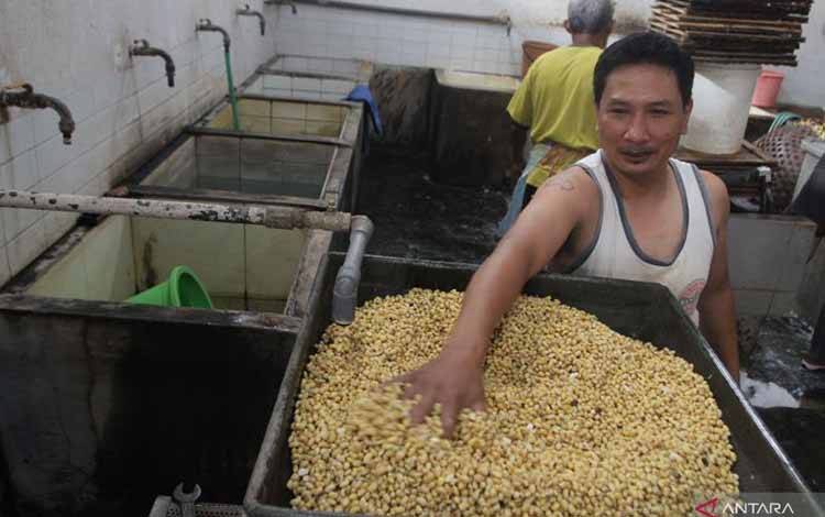 Mendag Komitmen Turunkan Harga Kedelai Jadi Rp11.000-Rp12.000/kg