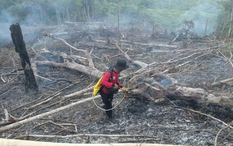 El Nino Lemah Picu Musim Kemarau yang Lebih Kering
