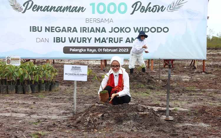 Pemprov Kalteng Tanam Bibit Durian Sukseskan Gerakan Nasional 1000 Pohon Serentak ?
