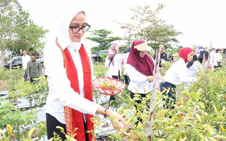 Hasil Gerakan 1000 Pohon Kalteng Berpotensi Sebagai Agrowisata