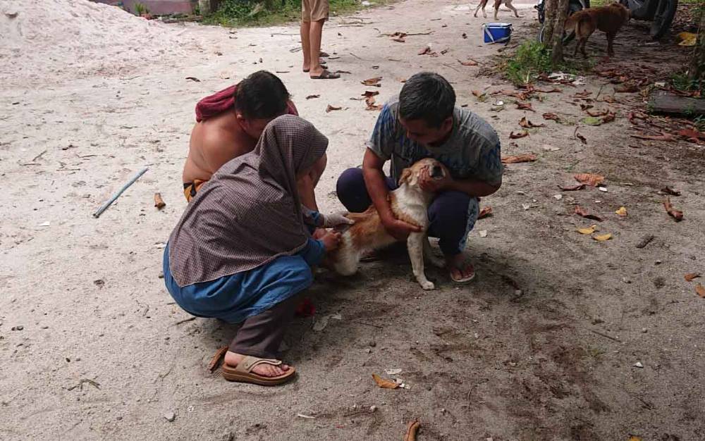 Tahun ini DPKP Palangka Raya Targetkan 8.000 Ekor HPR Tervaksin