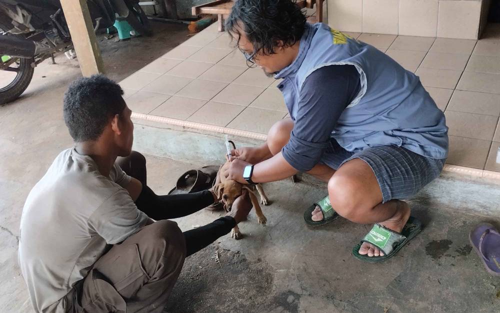 Vaksinator Rabies Disiagakan di Kawasan Positif Rabies