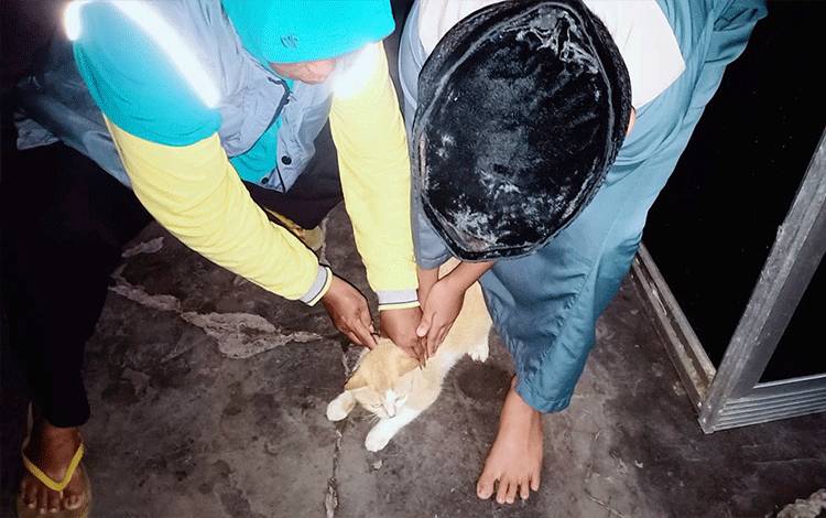 Kembali Ditemukan Kasus Gigitan Rabies di Palangka Raya, Ini Kata DPKP