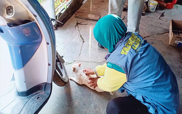 Masyarakat Diminta Waspada Rabies, Satu Kasus Ditemukan di Kalibata