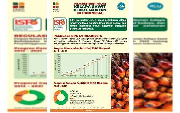 Pekebun Sawit Mandiri Bisa Dapat Dukungan Rp30 Juta per Hektare dari BPDPKS