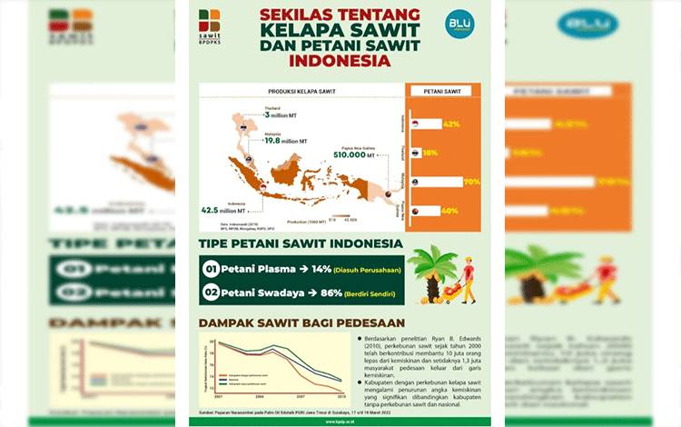 Ini Alur Jika Petani Sawit Ingin Dapat Bantuan Rp30 Juta per Hektare dari BPDPKS