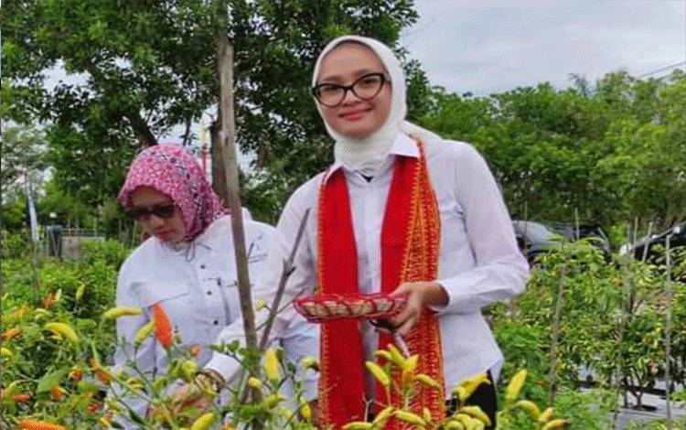 Ketua TP-PKK Kalteng Dorong Kabupaten dan Kota Kembangkan Agrowisata