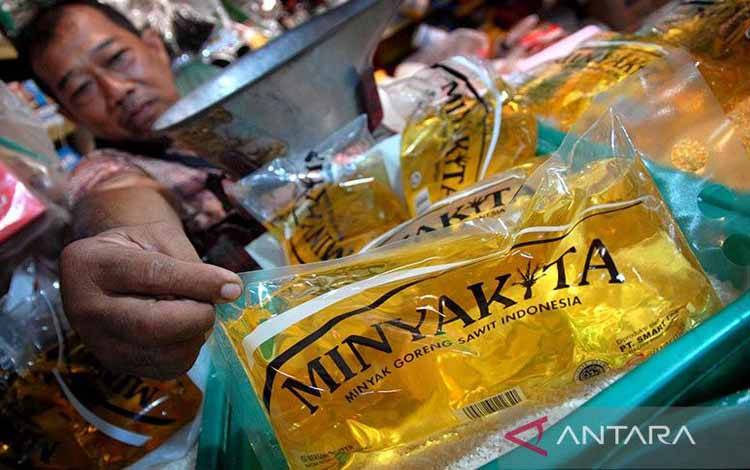 Menko Luhut Sebut DMO Minyak Goreng jadi 50 Persen