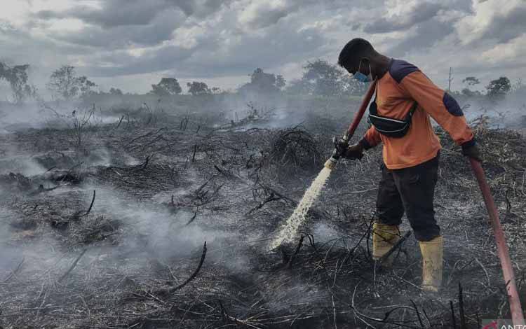 Pemerintah Siapkan Pencegahan Kebakaran Gambut Lewat Modifikasi Cuaca
