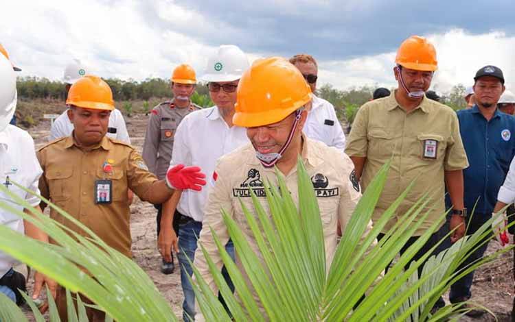 Bupati Seruyan Tanam Perdana Kebun Plasma Kemitraan PT RHS