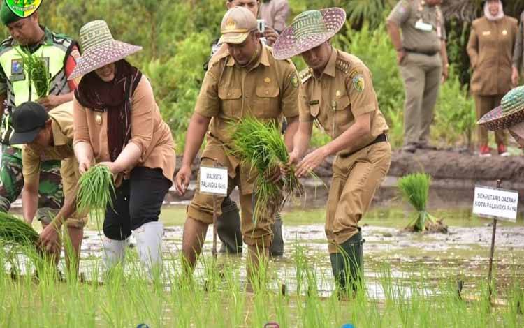 Wali Kota: Tanam Padi Solusi Wujudkan Ketahanan Pangan