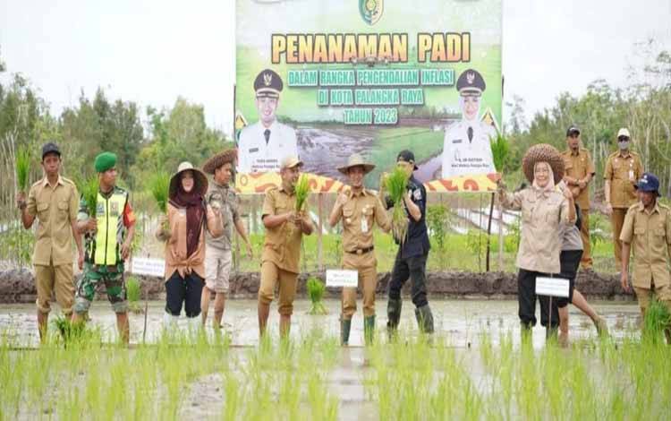 Palangka Raya Masih Andalkan Suplai Beras dari Luar Daerah