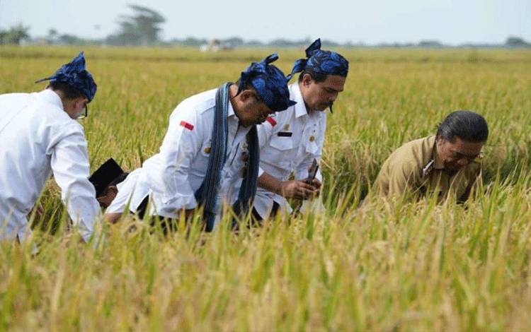 Mentan Pastikan Ketersediaan Pangan Aman Jelang Ramadan