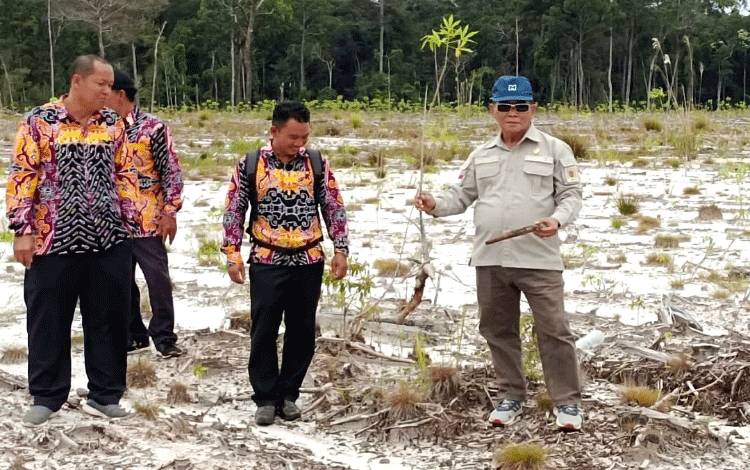 Komisi II DPRD Kalteng: Food Estate Singkong di Gumas Perlu Evaluasi