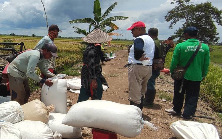 Masyarakat Harus Ikut Andil Optimalkan Program Food Estate
