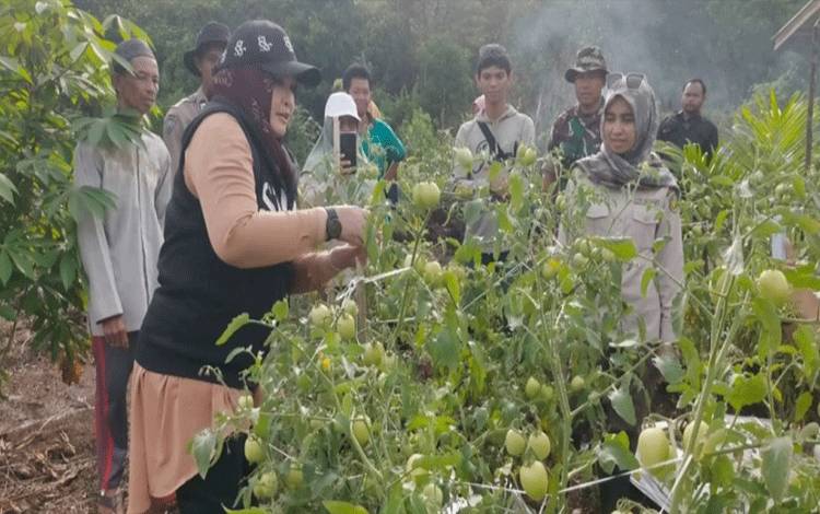 Warga Palangka Raya Diajak Wujudkan Pangan Mandiri Melalui Perkebunan Keluarga