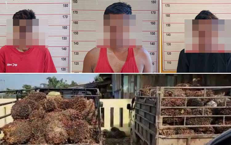 Tiga Terduga Pelaku Pencuri Sawit Ditangkap Polsek Aruta