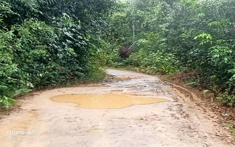 Jalan Rusak Parah, Warga Dusun Katambung Minta Perhatian Pemerintah