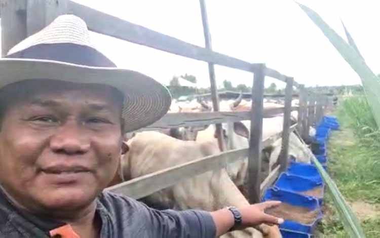 Ini Tips dari Petani Sukses Pangkalan Bun agar Dapat Dipercaya Investor
