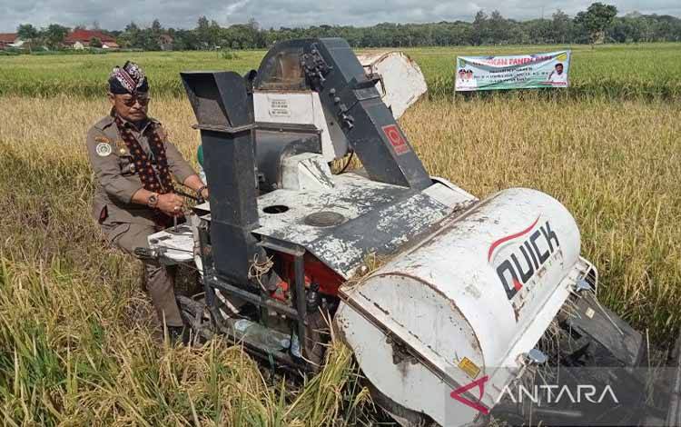 Mentan: Panen Padi Semua Daerah Makin Masif