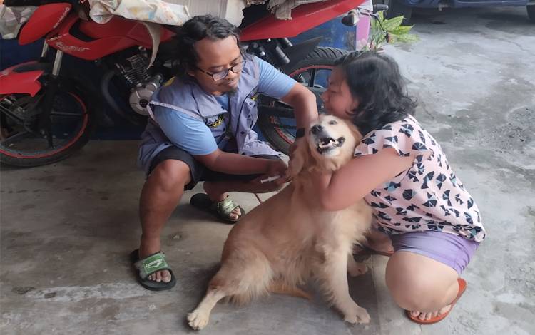 Awal 2023 Sudah Ada 2 Kasus Gigitan Hewan di Palangka Raya