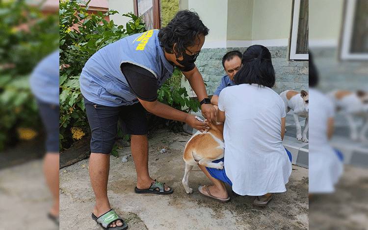 Ketua PDHI Kalteng Sayangkan Barsel Tidak Miliki Dokter Hewan Dinas