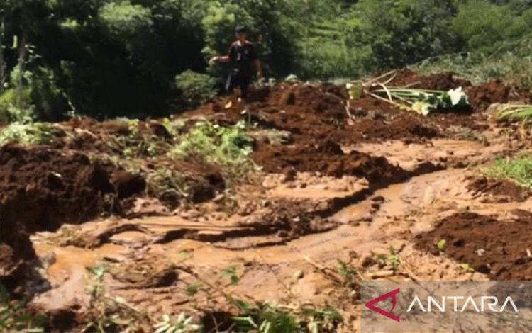Longsor Timbun Puluhan Petak Sawah