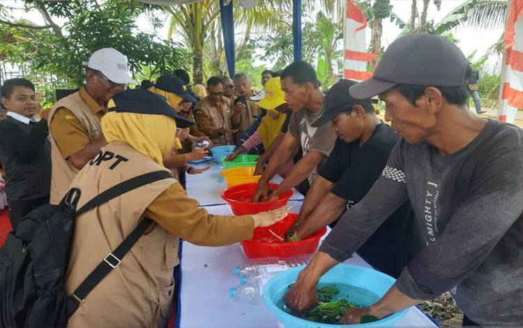 Harga Mahal, Pemprov Kalbar Gencarkan Buat Pupuk Secara Mandiri