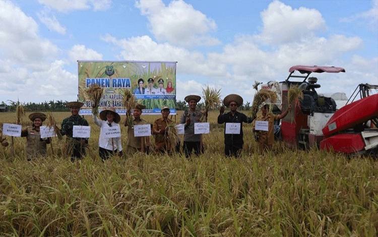 Bupati Kapuas Hadiri Panen Raya di Desa Terusan Makmur