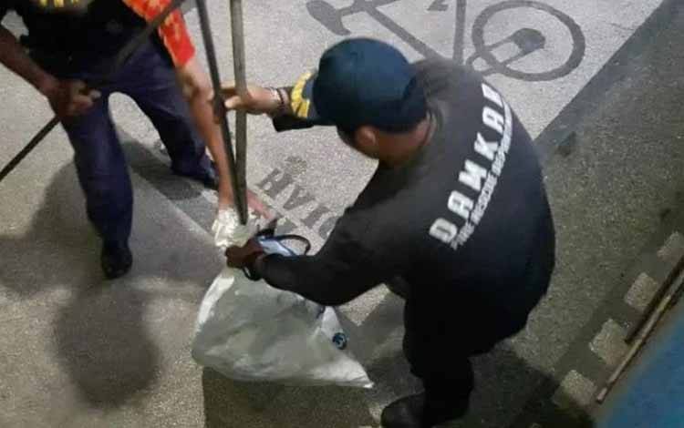 Rescue Damkar Palangka Raya Tangkap Biawak Doyan Makan Anak Kucing