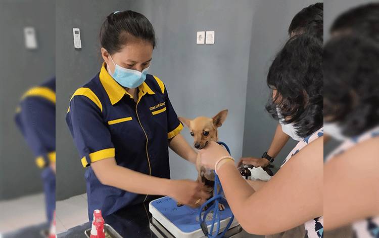 Klinik Hewan Pemko Palangka Raya Diharap Dapat Bantu Permasalahan Hewan
