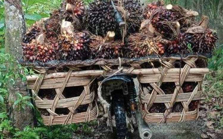 Pengamat: Loading Ramp Ditutup, Koperasi jadi Solusi