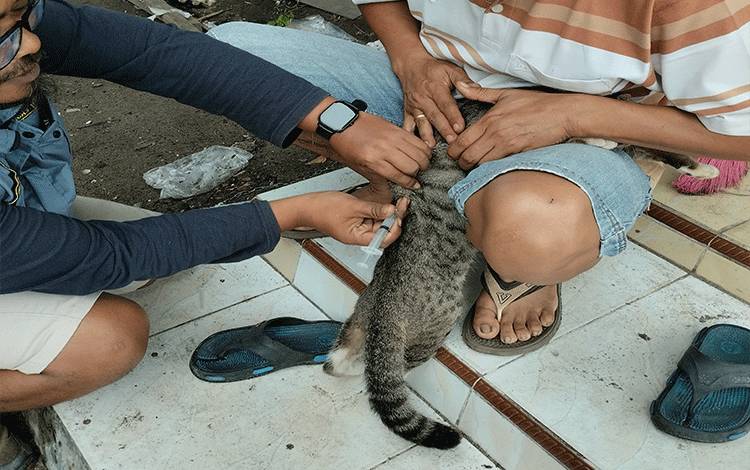 Banyak Masyarakat Palangka Raya yang Pelihara Puluhan Anjing dan Kucing