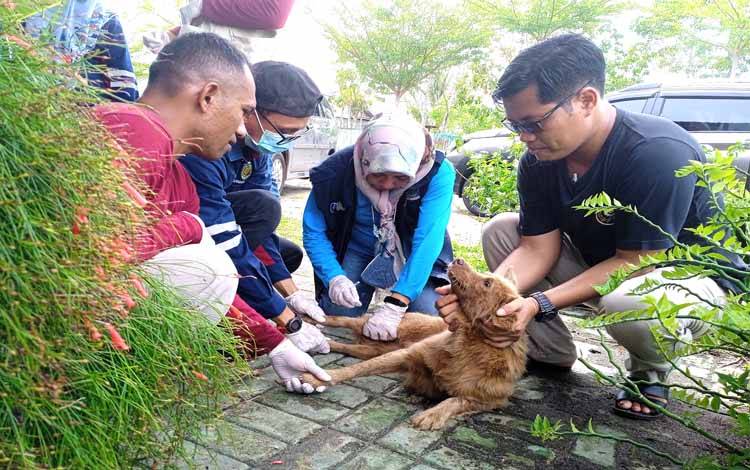 Demi Jaga Kesehatan Anjingnya, Katolik Center Panggil Petugas Vaksin Rabies