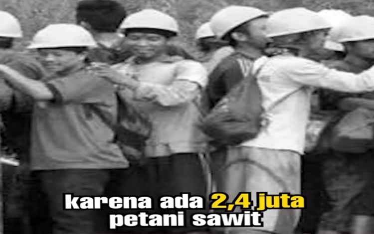 BPDPKS Nyatakan Komitmen untuk Tingkatkan Produktivitas Kelapa Sawit