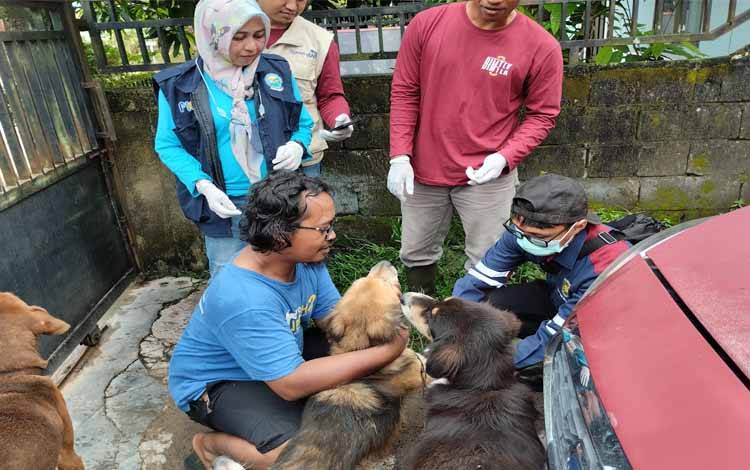 Vaksin Rabies Pada Hewan Penting Dilakukan untuk Kesehatan Manusia