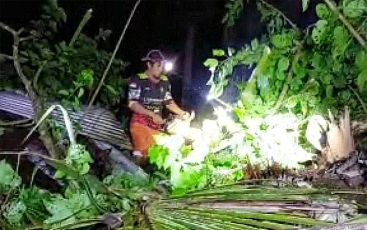 Pohon Tumbang Timpa Rumah Warga di Ampah Kota, Kerugian Capai Puluhan Juta