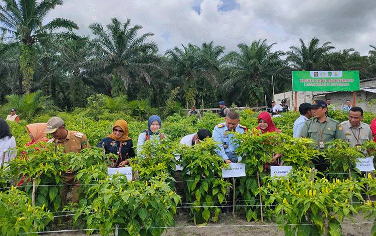 Kedatangan Wamentan ke Sukamara Pendorong Semangat untuk Kembangkan Ketahanan Pangan Dibidang Pertanian