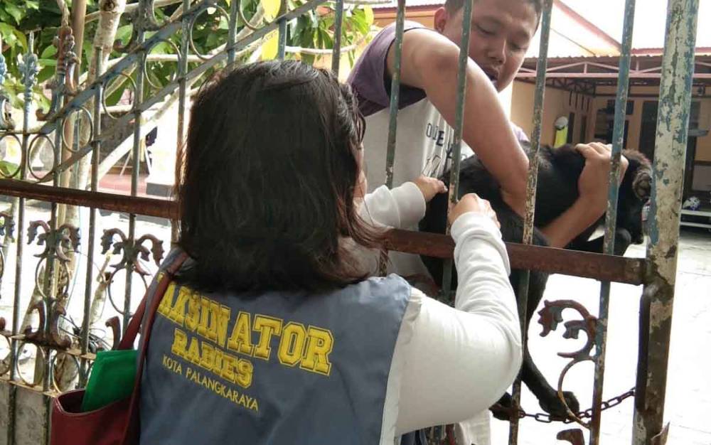 Ini Alasan Masih Ada Kasus Rabies Meski Capaian Vaksinasi Sudah Tinggi
