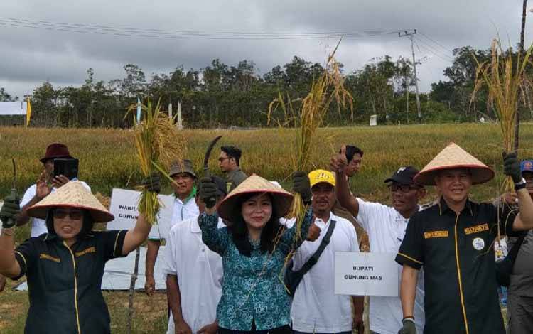 Bupati Gunung Mas: Panen Padi MSP.08 Sebagai Wujud Pelaksanaan Smart Agro