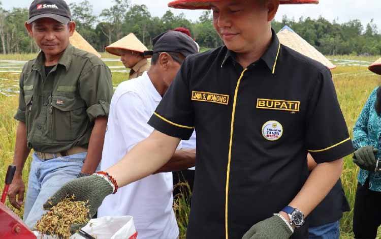 Bupati Gunung Mas: Panen Perdana Jadi Langkah Awal Pengembangan Kluster Padi